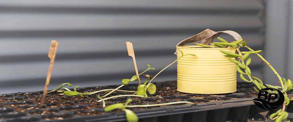 ویژگیهای شیلنگ آبیاری گلخانه